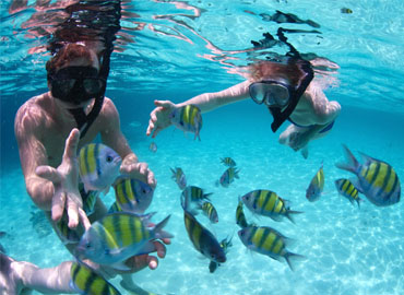 Amazing Andaman Holidays